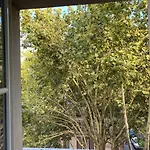 Center Next To Castle And Park